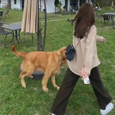 危机中的女人